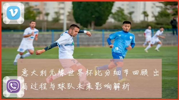 意大利无缘世界杯比分细节回顾 出局过程与球队未来影响解析