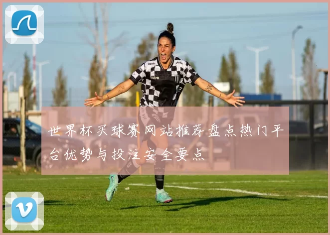 世界杯买球赛网站推荐盘点热门平台优势与投注安全要点